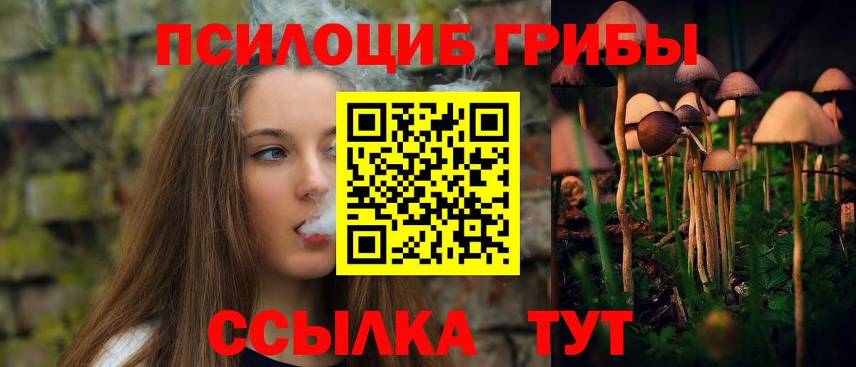 Псилоцибиновые грибы MAGIC MUSHROOMS  Вход с VPN  Семилуки 