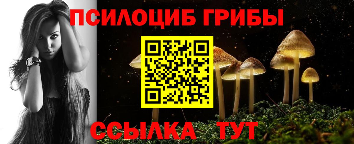 Псилоцибиновые грибы GOLDEN TEACHER Семилуки